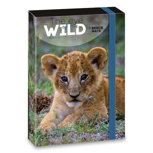 Ars Una The Eyes of the Wild - Lion A/5 füzetbox